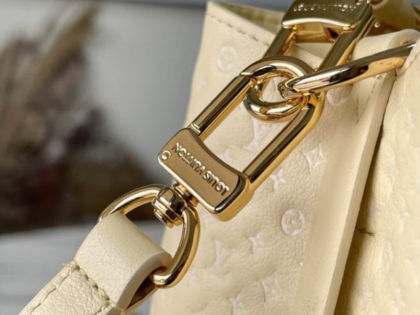 Louis Vuitton NeoNoé BB Bucket Bag - Skin - Image 5