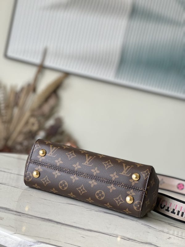 Louis Vuitton Presbyopic Medium CLUNY Handbag - Image 4
