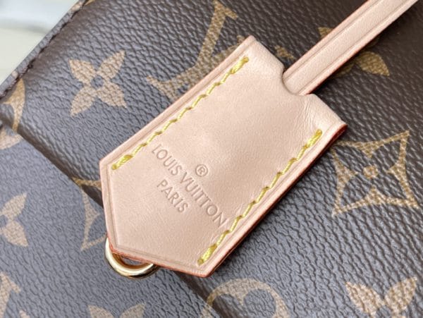 Louis Vuitton Presbyopic Medium CLUNY Handbag - Image 9